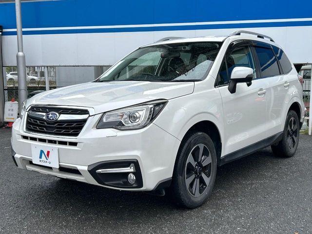 FORESTER