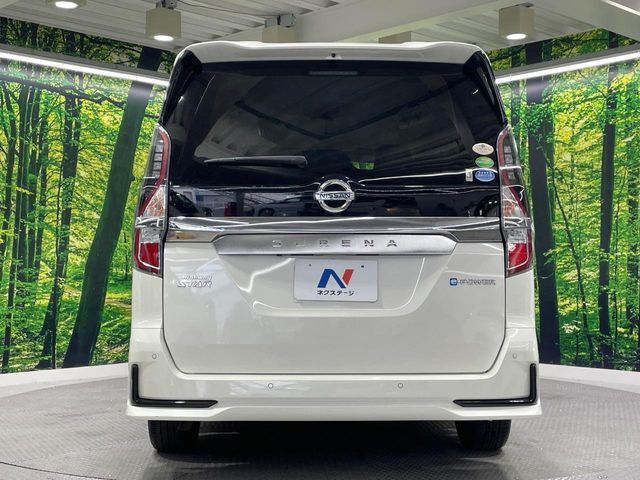 SERENA WG