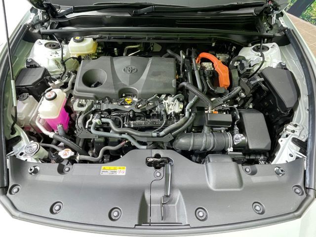 CROWN CROSSOVER