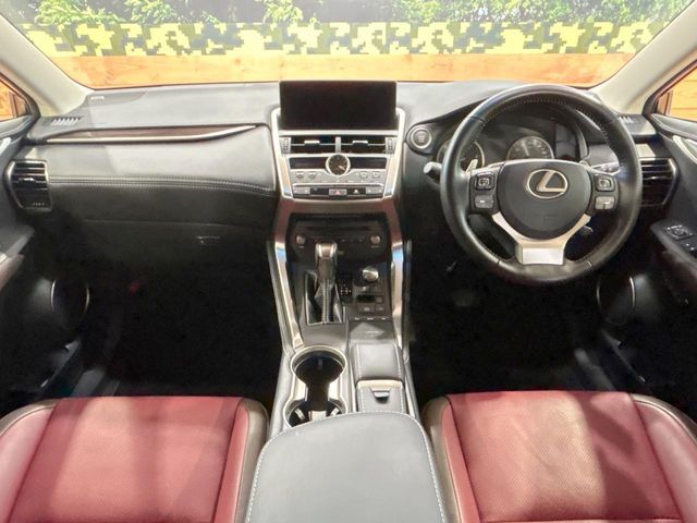 LEXUS NX300