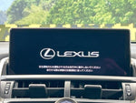 LEXUS NX300