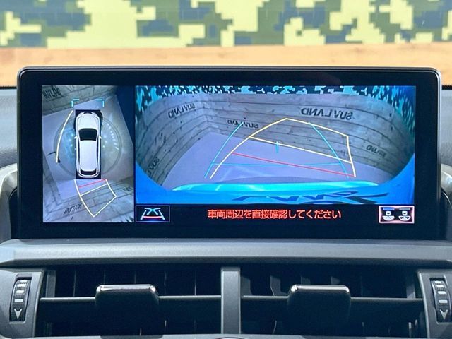 LEXUS NX300