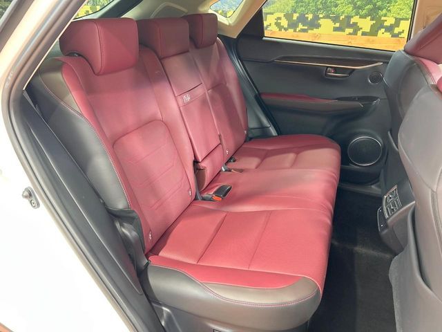 LEXUS NX300