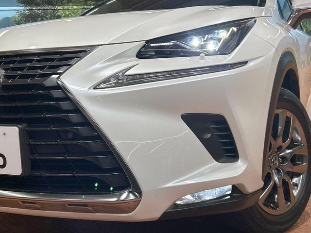 LEXUS NX300