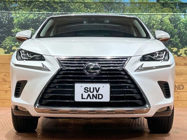 LEXUS NX300