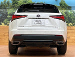 LEXUS NX300