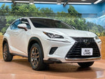 LEXUS NX300