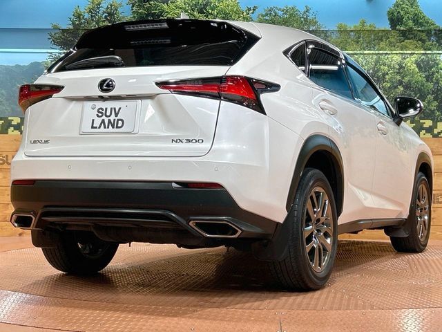 LEXUS NX300