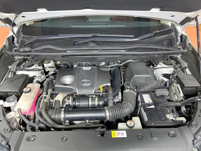 LEXUS NX300