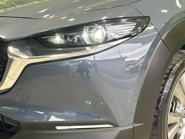 CX-30
