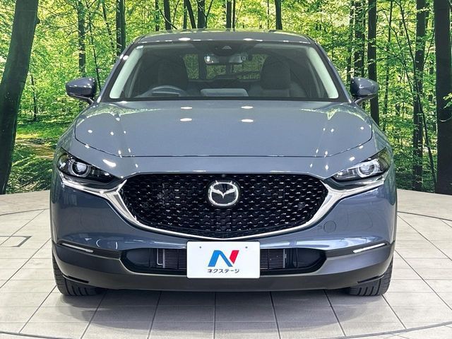 CX-30