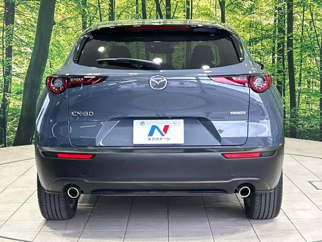 CX-30