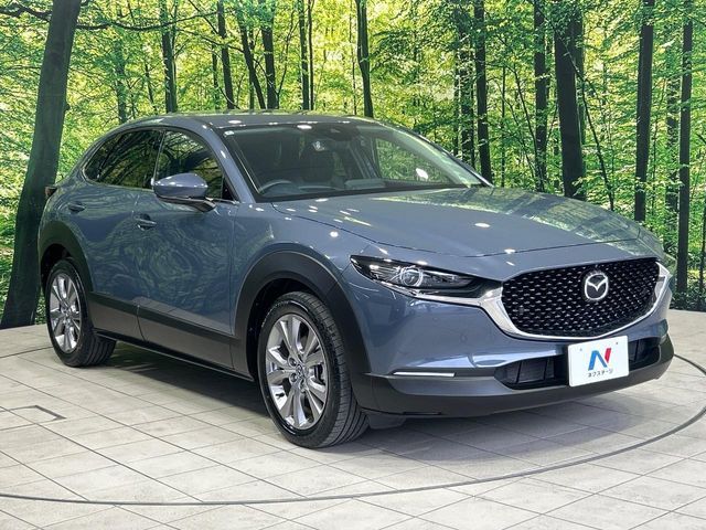 CX-30