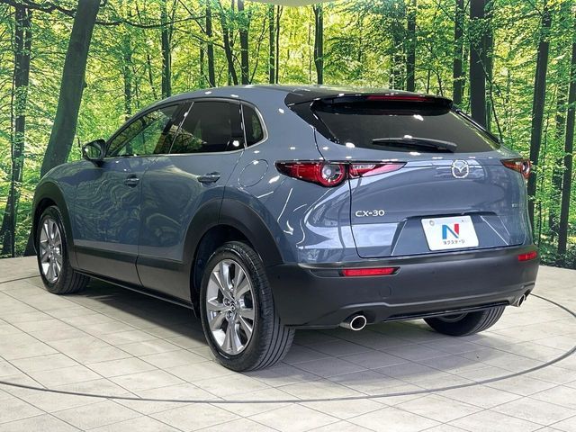 CX-30