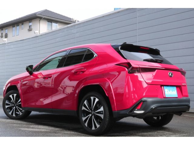 LEXUS UX250h