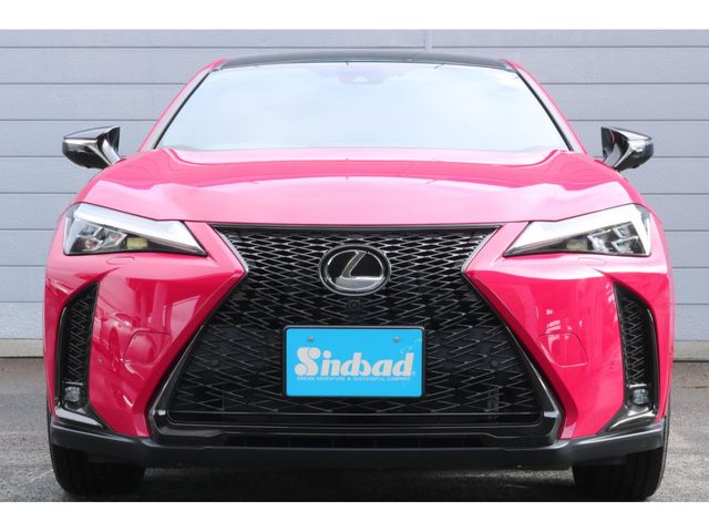 LEXUS UX250h