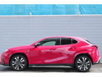 LEXUS UX250h