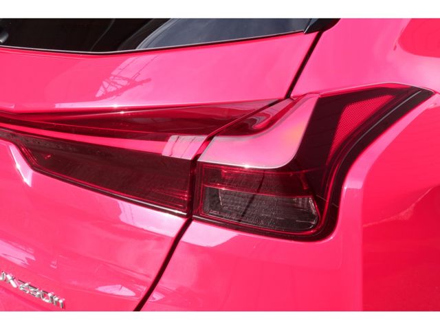 LEXUS UX250h