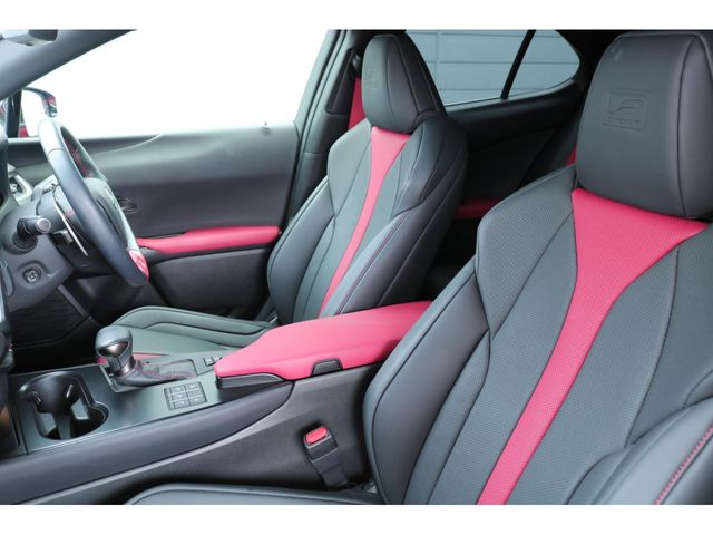 LEXUS UX250h