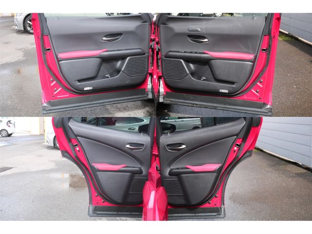 LEXUS UX250h