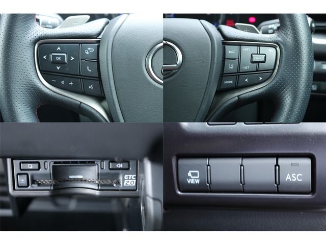 LEXUS UX250h