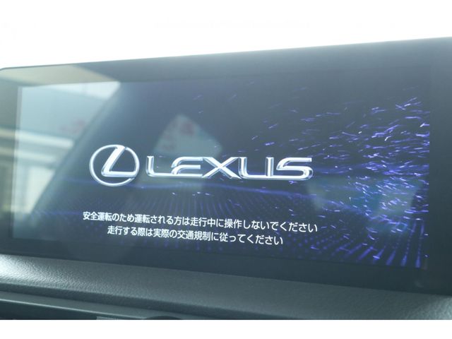 LEXUS IS300h
