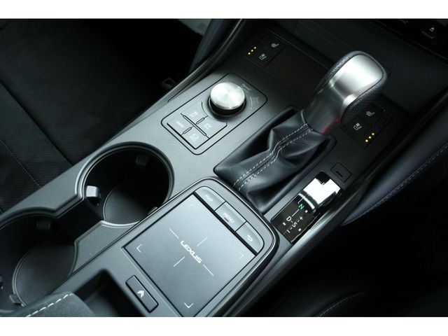 LEXUS IS300h