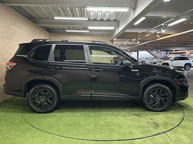 FORESTER