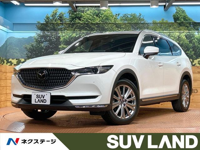 CX-8