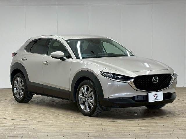CX-30