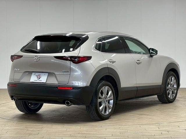 CX-30