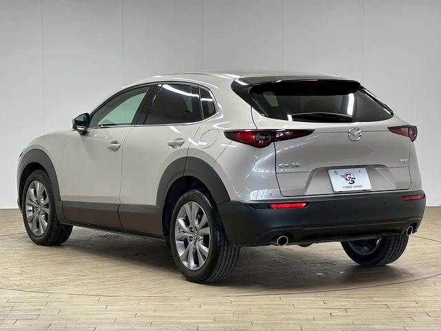 CX-30
