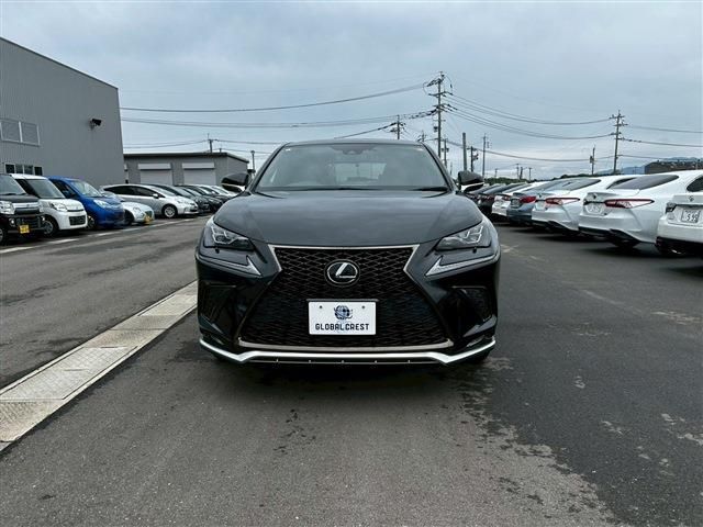 LEXUS NX300