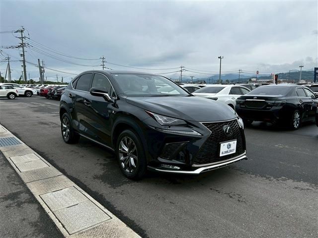 LEXUS NX300