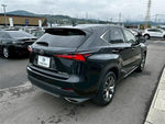 LEXUS NX300