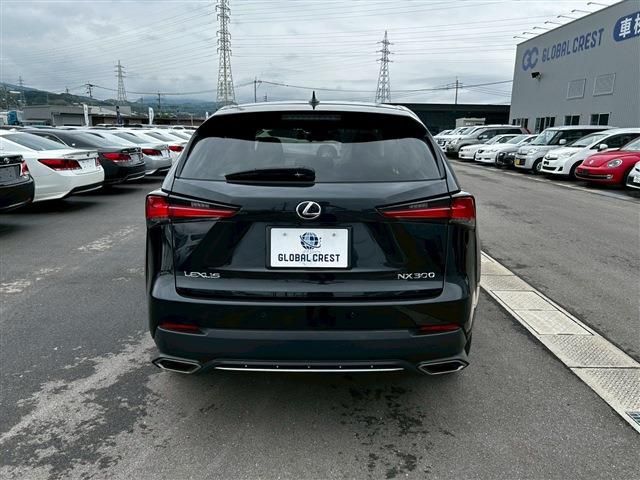 LEXUS NX300