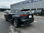 LEXUS NX300
