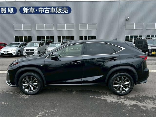 LEXUS NX300