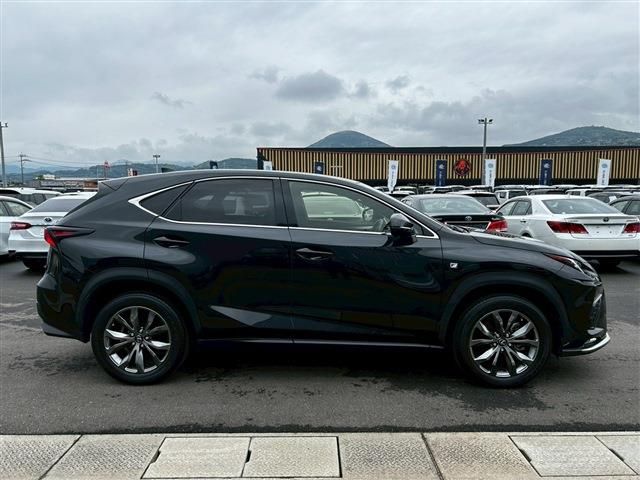 LEXUS NX300