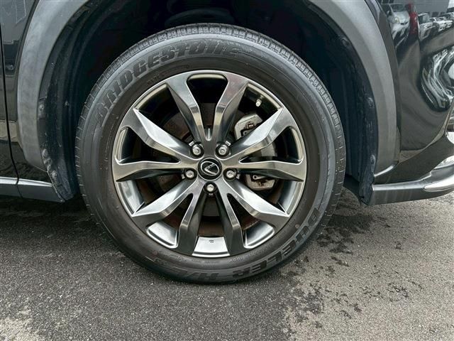 LEXUS NX300
