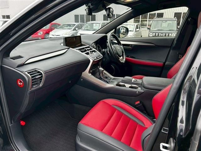 LEXUS NX300