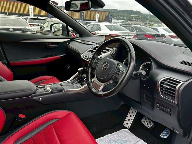LEXUS NX300