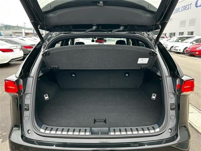 LEXUS NX300