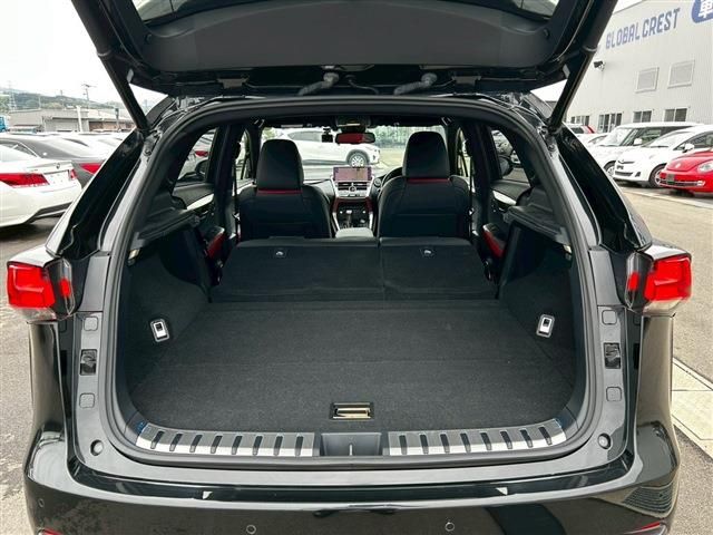 LEXUS NX300