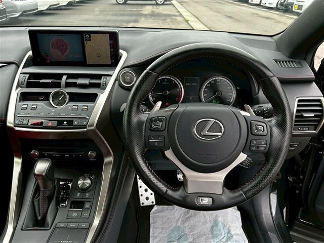 LEXUS NX300