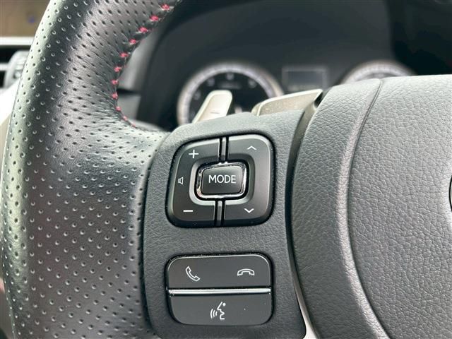LEXUS NX300