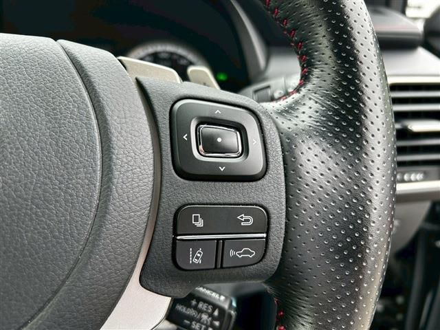 LEXUS NX300