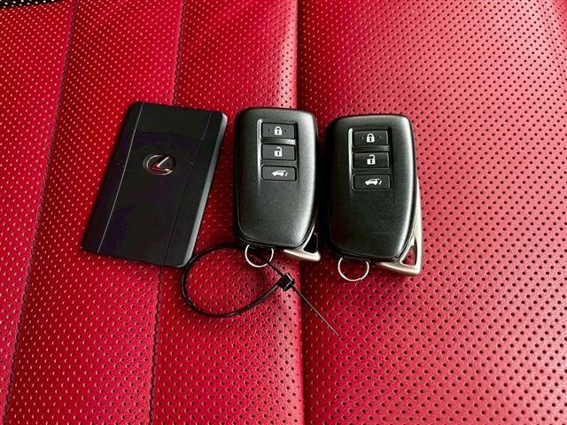 LEXUS NX300