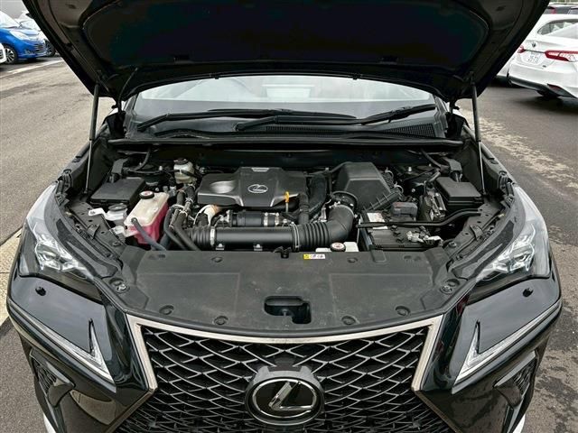 LEXUS NX300