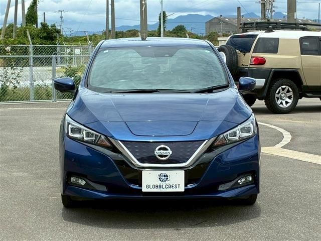 LEAF